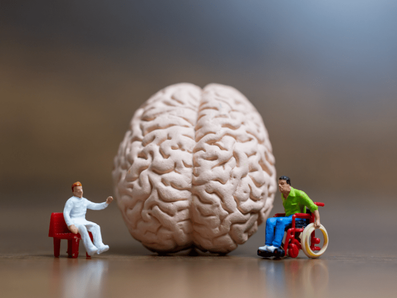 Environmental Enrichment to Promote Neuroplasticity and Prevent Cognitive Decline After Acquired Brain&nbsp;Injury